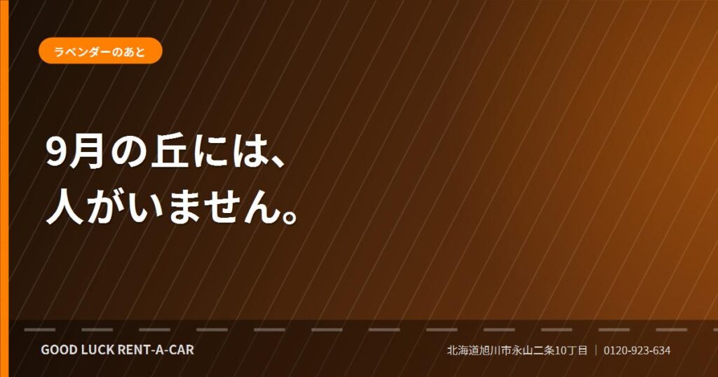 9月の美瑛の丘と富良野を巡る秋のドライブ